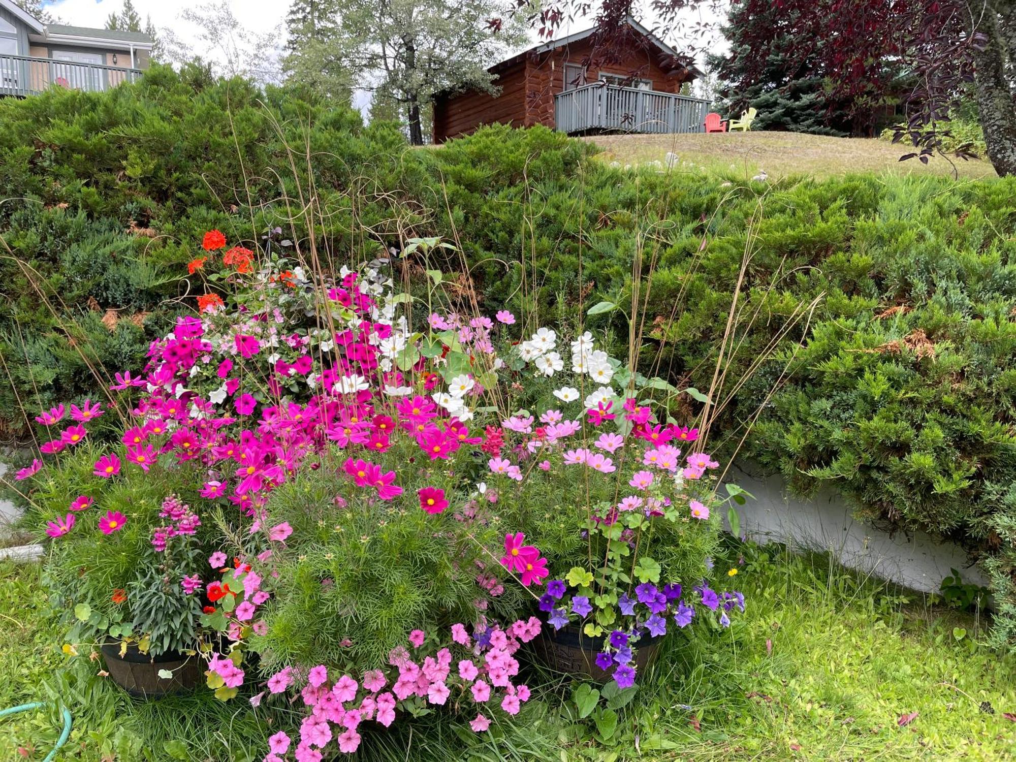 Dream Catcher Inn Valemount Luaran gambar